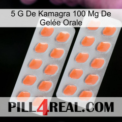 5 G De Kamagra 100 Mg De Gelée Orale 27